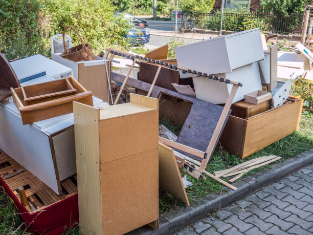 Best Construction Debris Removal  in Wabasha, MN