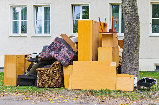 Best Construction Debris Removal  in Wabasha, MN
