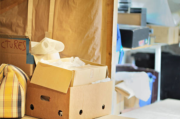 Best Same-Day Junk Removal  in Wabasha, MN